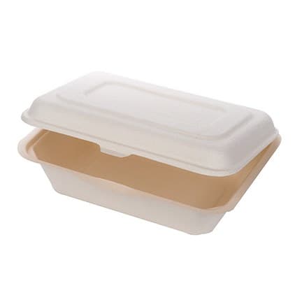 Bagasse