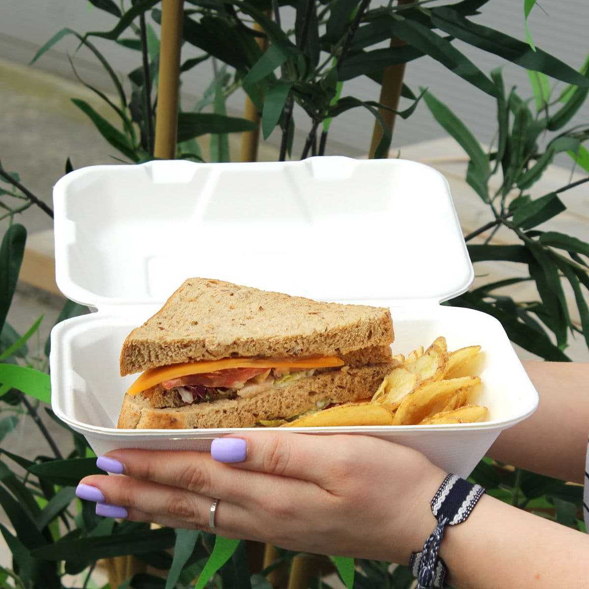 Bagasse Meal Box (9x6x2") 2