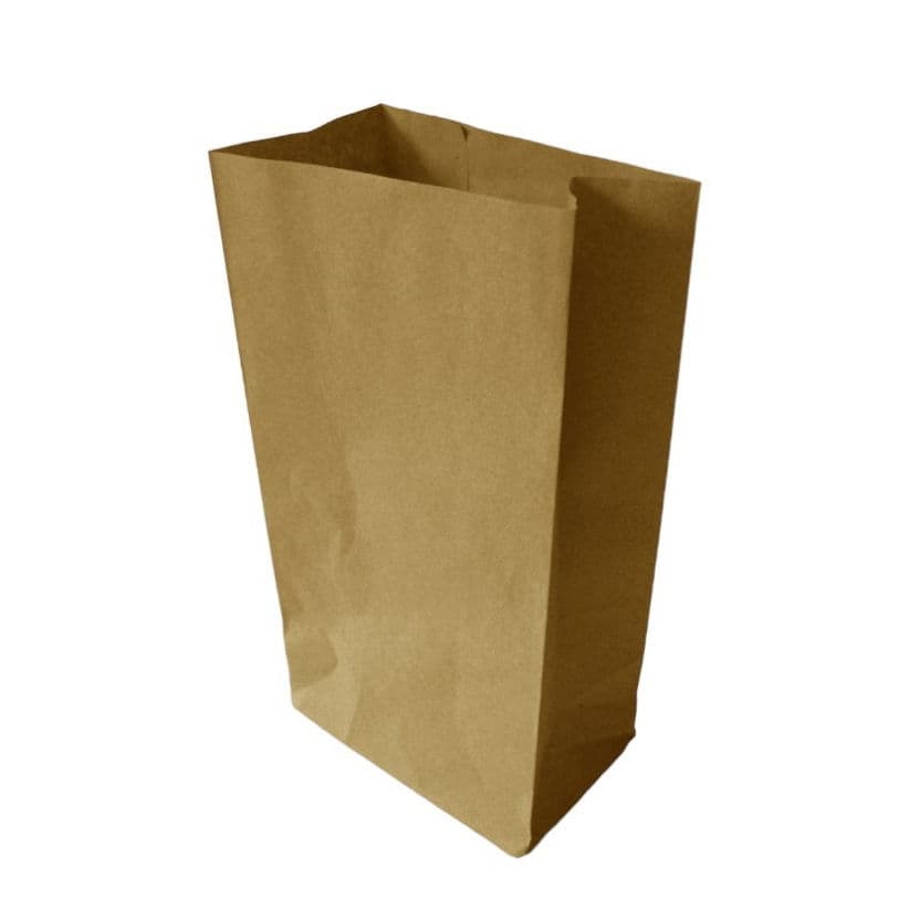 Brown Kraft SOS Bag (5x8.5x9.75")