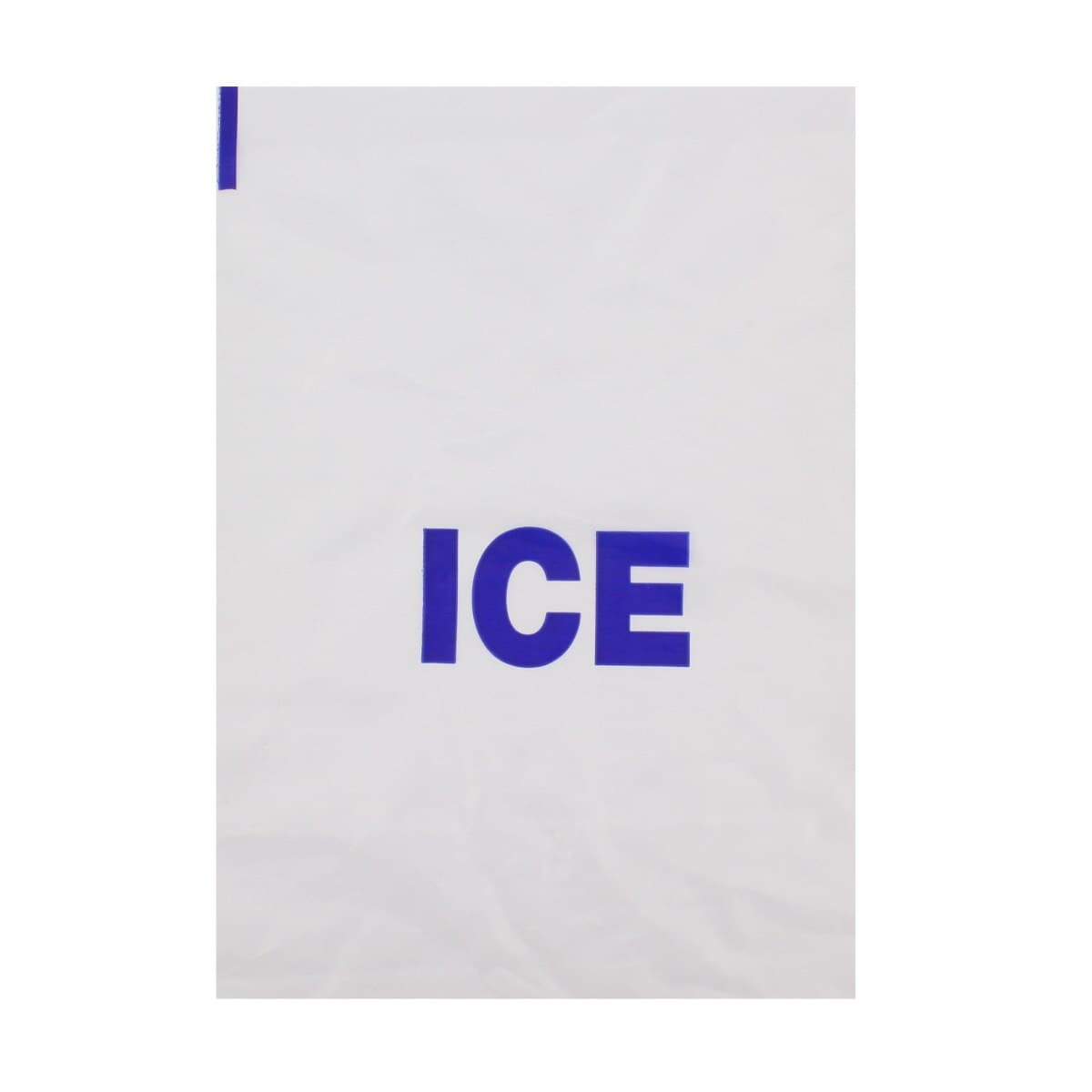 Large Ice Bag (12x18")
